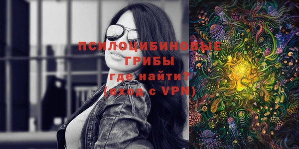дживик Абаза