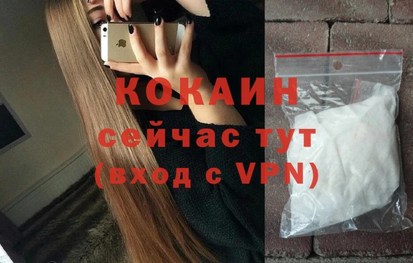 дживик Абаза