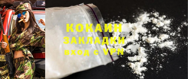 дживик Абаза