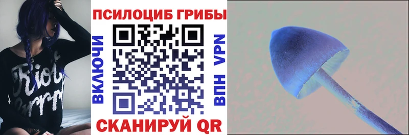 Галлюциногенные грибы MAGIC MUSHROOMS  где купить наркоту  Карачев 